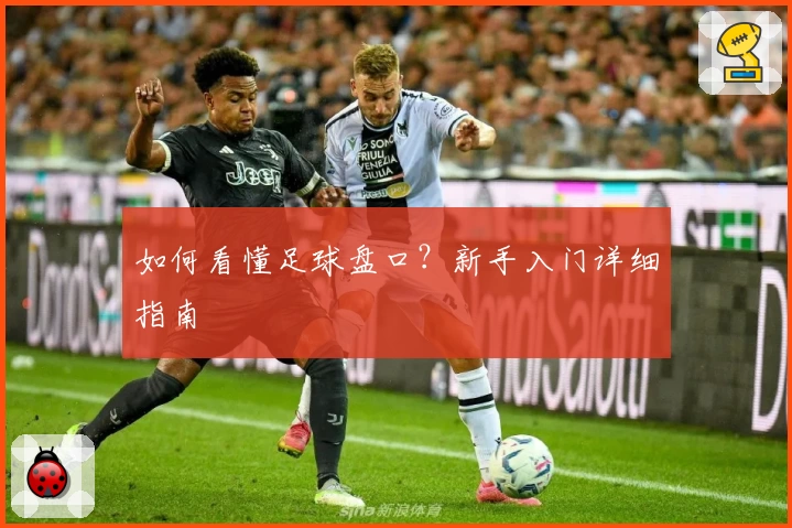 如何看懂足球盘口?新手入门详细指南