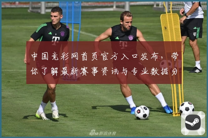 中国竞彩网首页官方入口发布，带你了解最新赛事资讯与专业数据分析