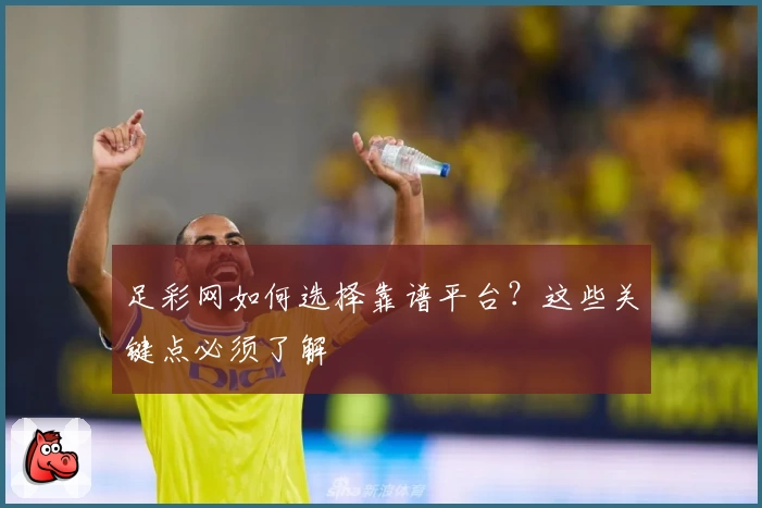 足彩网如何选择靠谱平台?这些关键点必须了解