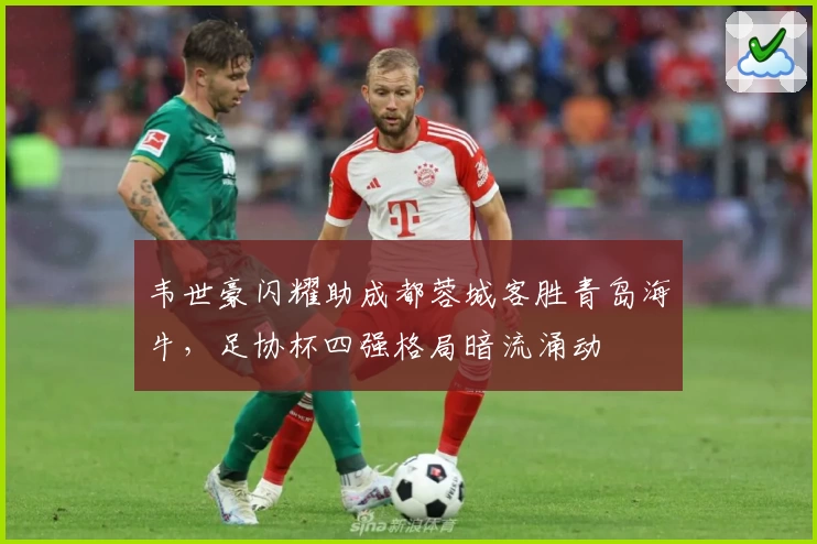 韦世豪闪耀助成都蓉城客胜青岛海牛，足协杯四强格局暗流涌动