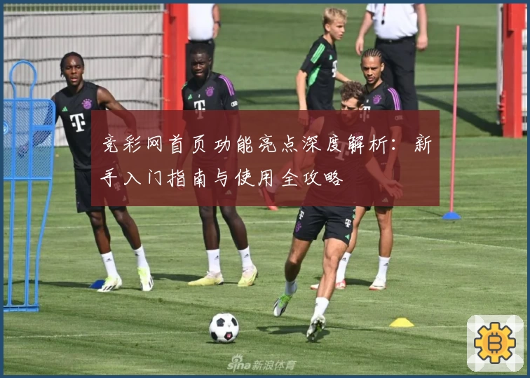 竞彩网首页功能亮点深度解析：新手入门指南与使用全攻略