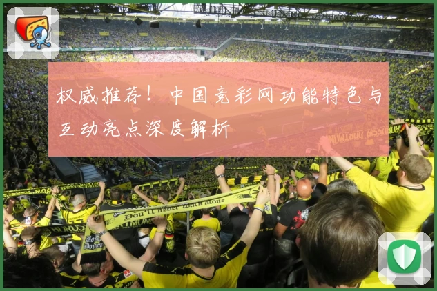 权威推荐！中国竞彩网功能特色与互动亮点深度解析