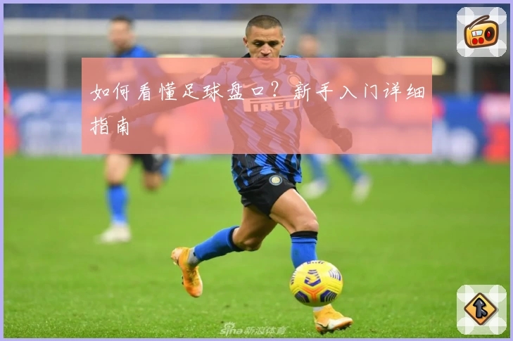 如何看懂足球盘口?新手入门详细指南